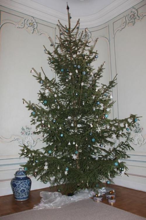 Vánoční strom - Velký sál 2013